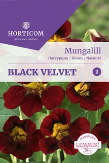 SEEMNED HORTICOM MUNGALILL BLACK VELVET 2G