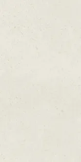 SEINAPLAAT PARADYZ FUENTES GRYS SCIANA REKT. MAT. 29,8X59,8CM