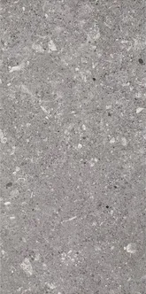 SEINAPLAAT PARADYZ ARAGORN GRYS 30X60CM