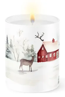 KLAASKÜÜNAL HORTICOM KITSEKE 18H D72X75MM