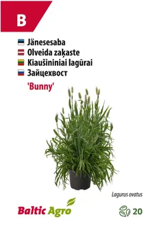 JÄNESESABA BALTIC AGRO "BUNNY"