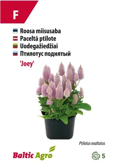 MIISUSABA BALTIC AGRO "JOEY"®