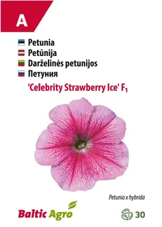 PETUUNIA BALTIC AGRO "CELEBRITY STRAWBERRY ICE"