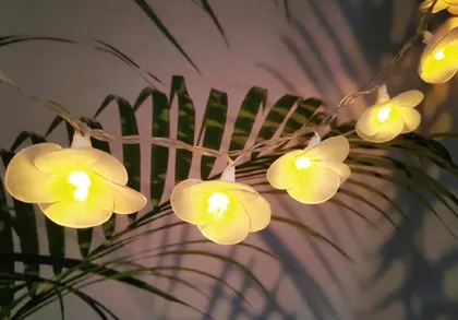 VALGUSKETT SOLAR ÕIED LED 1,8M