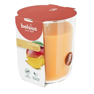 LÕHNAKÜÜNAL KLAASIS BOLSIUS 45H, MANGO