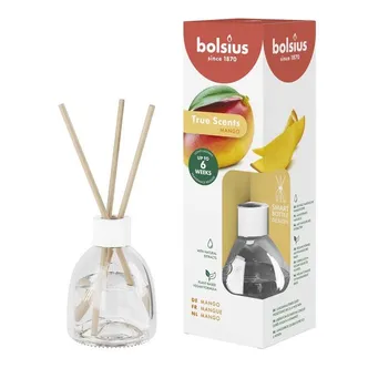 KODULÕHNASTAJA BOLSIUS 60ML, MANGO