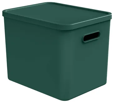 HOIUKAST KAANEGA ROTHO C4 ALBULA 27L, JÕULU ROHELINE