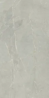 SEINAPLAAT FILLSTONE GREY MAT 29,8X59,8CM 1,6M² PAKIS