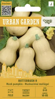 MUSKAATKÕRVITS BUTTERBUSH H