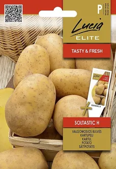 KARTUL SEKLOS SOLTASTIC H, PAKIS 10 SEEMET