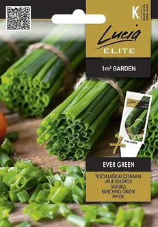 TALISIBULSEKLOS EVER GREEN 2G