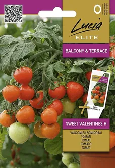 TOMAT SEKLOS SWEET VALENTINES H, PAKIS 7 SEEMET