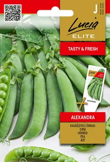 HERNES SEKLOS ALEXANDRA 15G