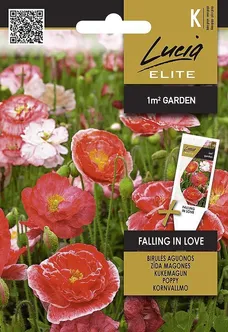 KUKEMAGUN SEKLOS FALLING IN LOVE, 0,3G