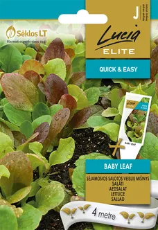 AEDSALAT SEKLOS BABY LEAF, PAKIS 4 MEETRIT SEEMNELINTI