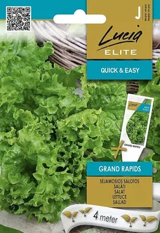 AEDSALAT SEKLOS GRAND RAPIDS, PAKIS 4 MEETRIT SEEMNELINTI