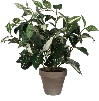 KUNSTTAIM MICA DECORATIONS CORDYLINE POTIS Ø11,5CM