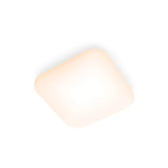 LAEVALGUSTI MAUVE CL270 EC 12W 2700K RUUT VALGE