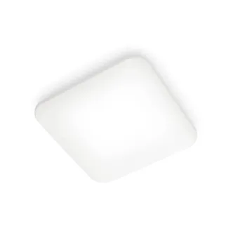 LAEVALGUSTI MAUVE CL270 EC 24W 4000K RUUT VALGE