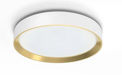 PLAFOON HANNO SS 24W 2700K KULDNE-VALGE