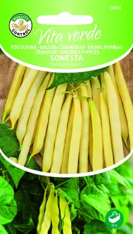 AEDUBA SONESTA