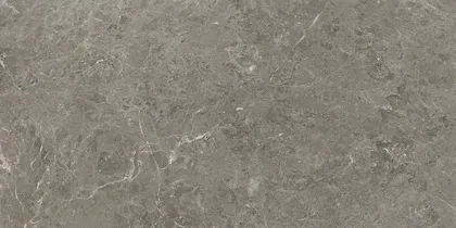 PÕRANDA-JA SEINAPLAAT CERSANIT DELIA TAUPE MATT 59,8X119,8CM 1,43M² PAKIS