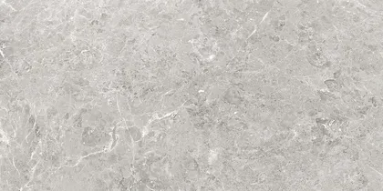 PÕRANDA-JA SEINAPLAAT CERSANIT DELIA GREY MATT 59,8X119,8CM 1,43M² PAKIS