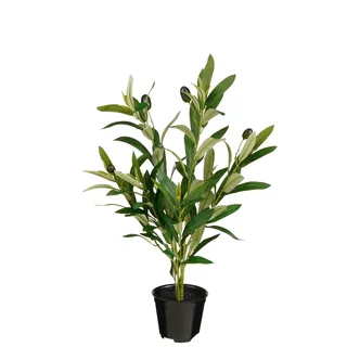 KUNSTTAIM MICA DECORATIONS OLIIVIPUU POTIS H46XØ35CM