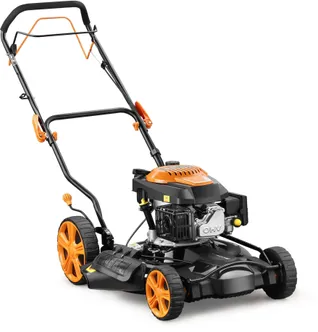 MURUNIIDUK CLINT CL-51FWD ESIVEDU 146CM3