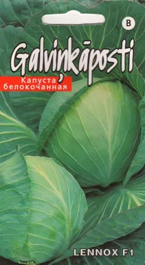 SEEMNED KURZEMES SEKLAS VALGE PEAKAPSAS 'LENNOX F1'