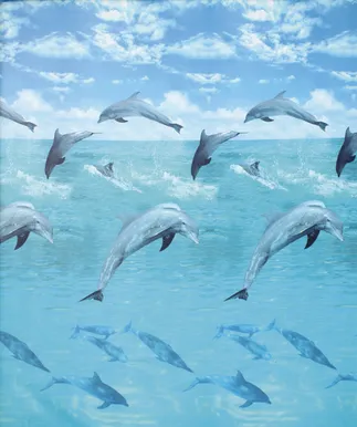 DUŠIKARDIN 180X200CM DUSCHY 622-17 OCEAN POLÜESTER