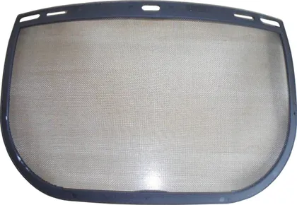 EURO PROTECTION VÕRGUST NÄOKAITSE VISIIR