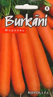 SEEMNED KURZEMES SEKLAS PORGAND "NAPOLI" F1 1G