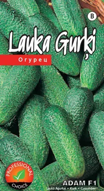 SEEMNED KURZEMES SEKLAS KURK "ADAM"