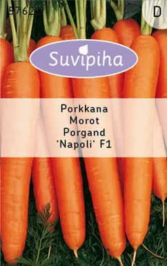 KÖÖGIVILJASEEMNED SUVIPIHA PORGAND NAPOLI F1 VARANE 480S