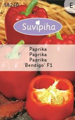 KÖÖGIVILJASEEMNED PAPRIKA BENDIGO F1 PUNANE 6S