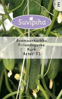 KÖÖGIVILJASEEMNED SUVIPIHA KURK AZTEC F1 AVAMAA 15S 