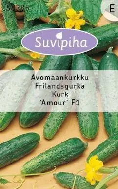 KÖÖGIVILJASEEMNED SUVIPIHA KURK AMOUR F1 AVAMAA 15S
