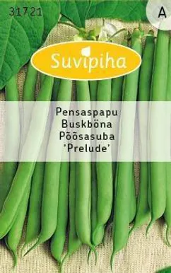 KÖÖGIVILJASEEMNED SUVIPIHA AEDUBA PRELUDE ROHELINE