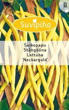 KÖÖGIVILJASEEMNED SUVIPIHA LATTUBA NECKARGOLD KOLLANE