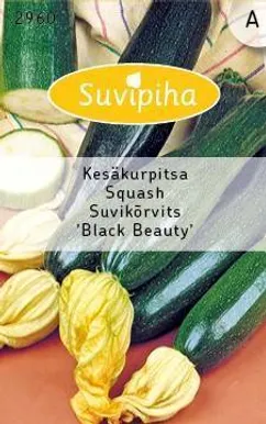 KÖÖGIVILJASEEMNED SUVIPIHA SUVIKÕRVITS BLACK BEAUTY ROHELINE 