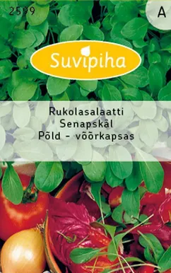 KÖÖGIVILJASEEMNED SUVIPIHA PÕLD- VÕÕRKAPSAS RUCA SALAT 