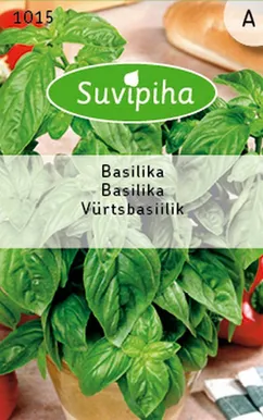 KÖÖGIVILJASEEMNED SUVIPIHA BASIILIK VÜRTS 