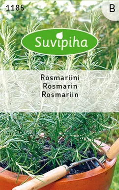 KÖÖGIVILJASEEMNED SUVIPIHA ROSMARIIN 