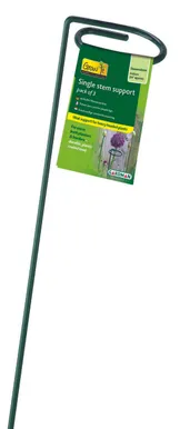 LILLETUGI SINGLE STEMM SUPP 60CM 3TK PAKIS