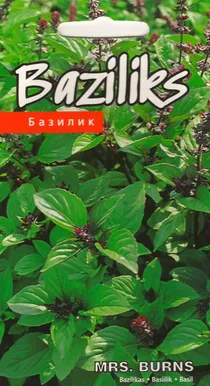 SEEMNED KURZEMES SEKLAS SIDRUNBASIILIK "MRS BURNS"