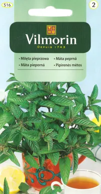 KÖÖGIVILJASEEMNED PIPARMÜNT VILMORIN CLASSIC