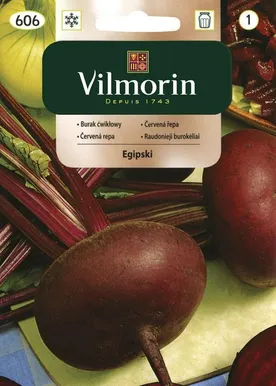 KÖÖGIVILJASEEMNED PEET EGIPSKI VILMORIN CLASSIC