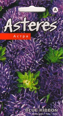 SEEMNED KURZEMES SEKLAS ASTER "BLUE RIBBON"