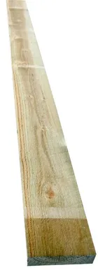 LAUD IMMUTATUD 22X100X3000MM MÄND